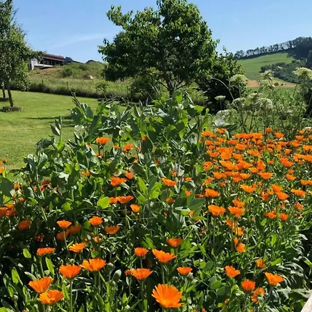 Family In Bavaria *