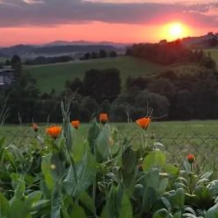 Family In Bavaria فالدكيرشن