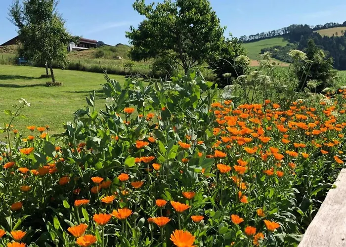 Family In Bavaria *